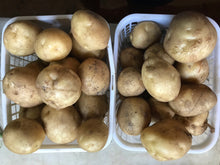 Load image into Gallery viewer, Potatoes