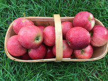 Load image into Gallery viewer, Apple - Royal Gala