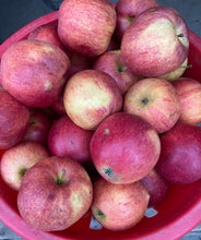 Load image into Gallery viewer, Apple - Royal Gala