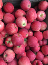 Load image into Gallery viewer, Apple - Royal Gala