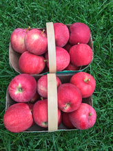 Load image into Gallery viewer, Apple - Royal Gala
