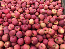 Load image into Gallery viewer, Apple- Cameo “Crunchy and Sweet-Tart.” Similar to Gala”