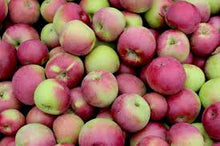 Load image into Gallery viewer, Apple- McIntosh