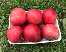 Load image into Gallery viewer, Apple- Idared - crisp, tart apple that stores very well