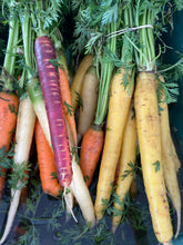 Load image into Gallery viewer, Carrots