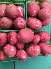 Load image into Gallery viewer, Potatoes