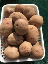 Load image into Gallery viewer, Potatoes