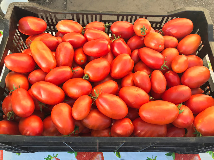 Tomato season is here!