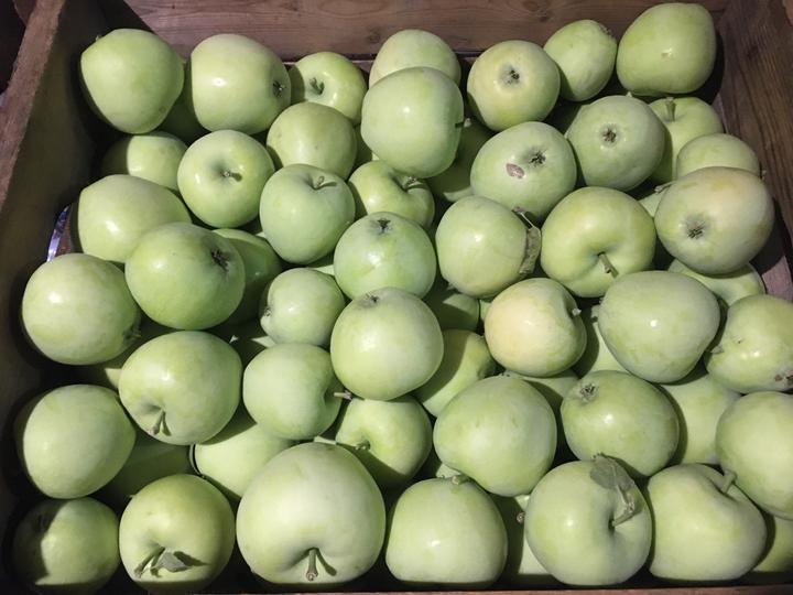 Apple Season has arrived at Janssens Farm Fresh Produce!