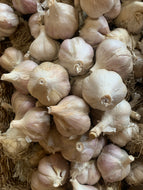 Bulk Garlic - 10 pounds for $50