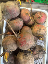 Load image into Gallery viewer, Beets - Golden
