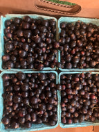Black currants 1/2 pints