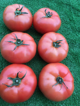 Load image into Gallery viewer, Beefsteak local Greenhouse Tomatoes
