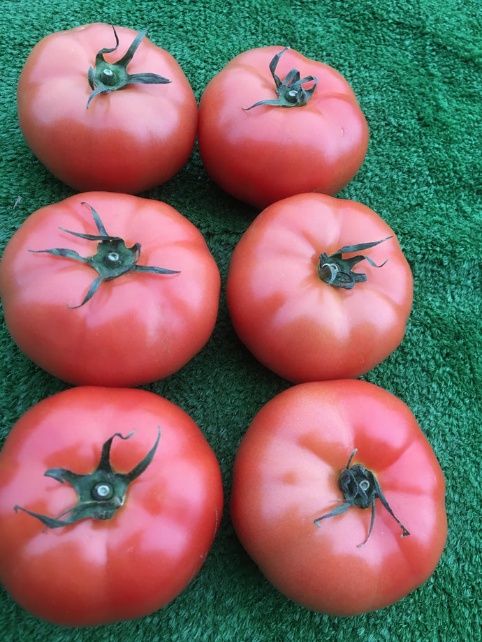 Beefsteak local Greenhouse Tomatoes