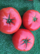 Beefsteak local jumbo greenhouse tomatoes