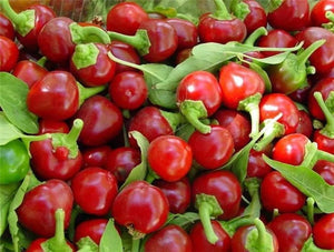 Peppers -hot cherry bomb