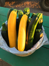 Load image into Gallery viewer, Zucchini
