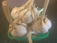 Garlic- imperfect (quarts)