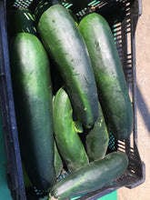 Load image into Gallery viewer, Zucchini
