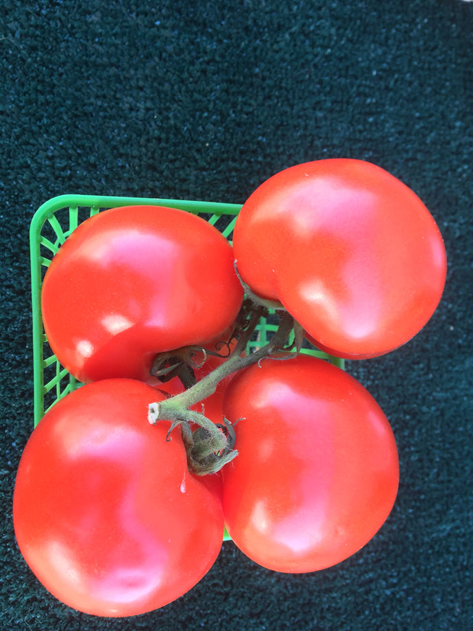 Tomatoes- local cluster tomatoes (quarts)