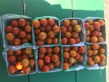 Load image into Gallery viewer, Cherry Tomatoes
