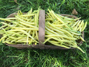 Beans