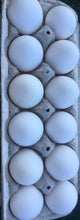 Load image into Gallery viewer, Eggs - Free range eggs - Dozen *FARM PICKUP ONLY*
