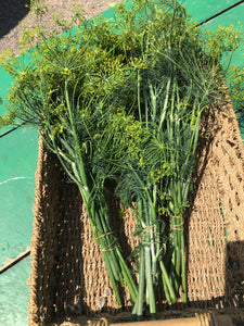 Dill