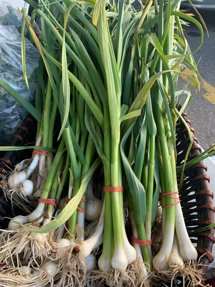 Garlic greens