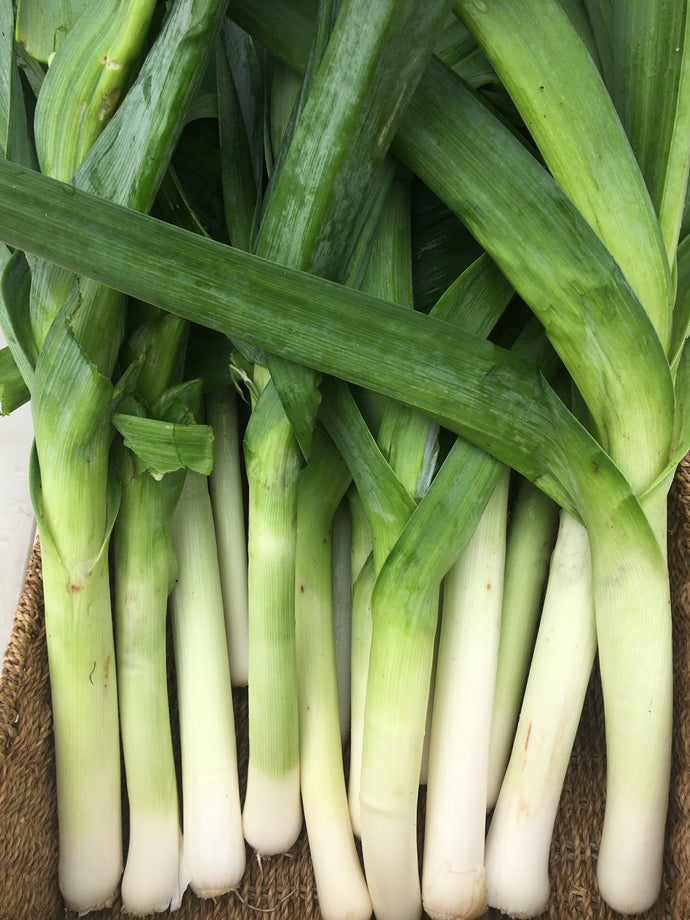 Leek