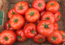 Load image into Gallery viewer, Beefsteak local Greenhouse Tomatoes
