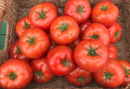 Beefsteak local Greenhouse Tomatoes