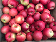 Apple- Idared - crisp, tart apple that stores very well