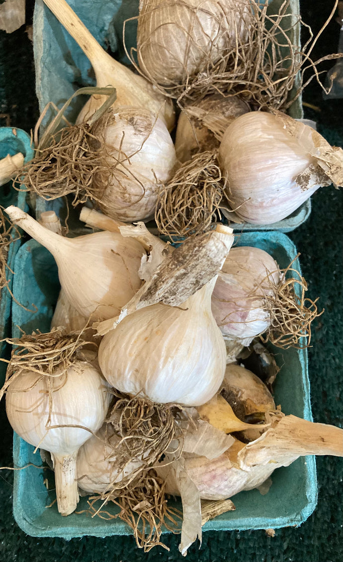 Garlic- 1/2 pints (smaller garlic heads)