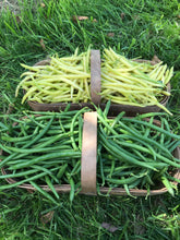Load image into Gallery viewer, Beans

