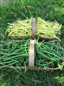 Beans