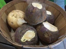 Load image into Gallery viewer, Rutabaga
