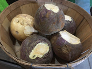 Rutabaga