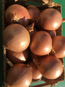 Spanish Onions - small