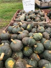 Load image into Gallery viewer, Squash- buttercup
