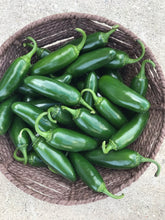 Load image into Gallery viewer, Jalapeño peppers
