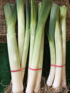 Leek - bunches