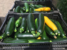 Load image into Gallery viewer, Zucchini
