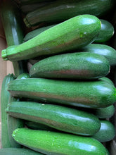 Load image into Gallery viewer, Zucchini
