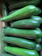 Zucchini