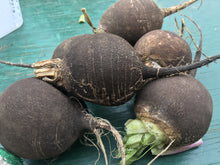 Load image into Gallery viewer, Black radishes
