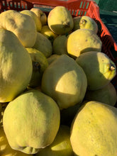 Load image into Gallery viewer, Quincey
