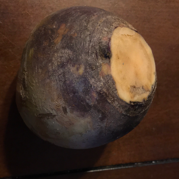 Rutabaga