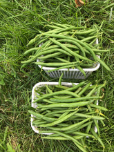 Load image into Gallery viewer, Beans
