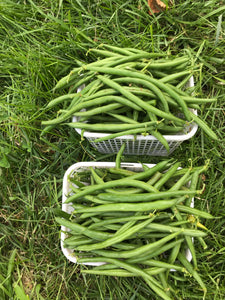Beans